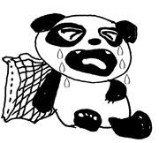 Почему панда плачет?